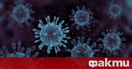 Световната здравна определи като обезпокоителен варианта на коронавируса, открит в
