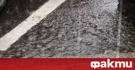 Тежки буреносни облаци придружени от пороен дъжд и резки пориви