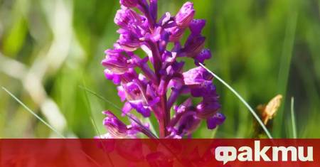 Над много райони облачността временно ще намалее но сутринта на