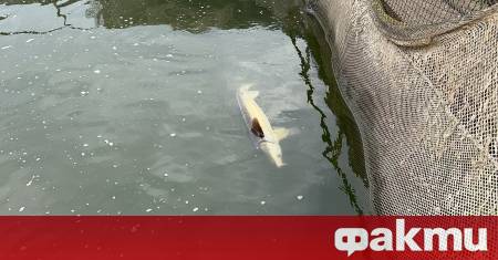 Министърът на земеделието и храните и министърът на околната среда