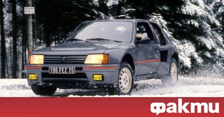 През 1983 година Peugeot представя 205 който се утвърждава като