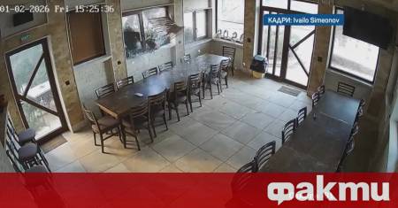 Силен вятър повали дърво във врачанския квартал Бистрец този следобед