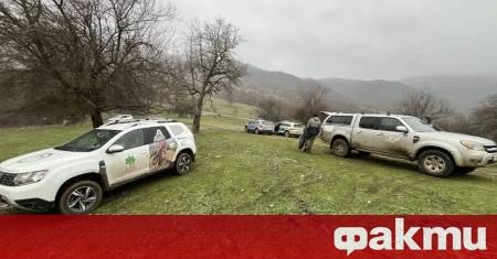 Шест черни лешояда и един белоглав са жертвите до снощи