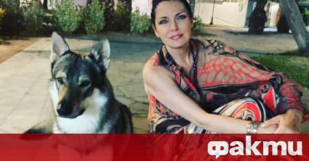 С Тачо определено се укротихме На друг етап сме пораснахме