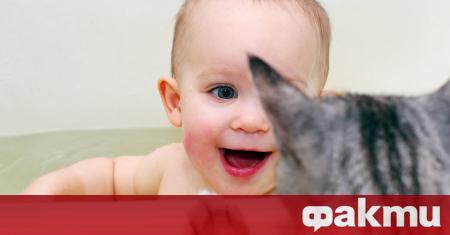 Реакцията на 7-месечно бебе спрямо домашната котка на семейството трогна