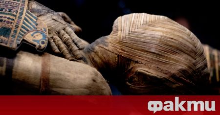 Американски учени откриха необичаен артефакт в египетска мумия на две