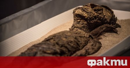 Загадъчните мумии Чинчоро, открити в крайбрежната пустиня в северната част