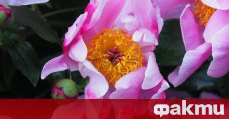 Ще бъде предимно слънчево В следобедните часове временни увеличения на