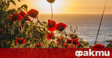 Ще бъде предимно слънчева топла и на места гореща съобщават