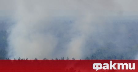Голям пожар бушува в гората Груневалд в Берлин Огнената стихия