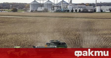 През последните седмици цената на пшеницата в света излезе извън