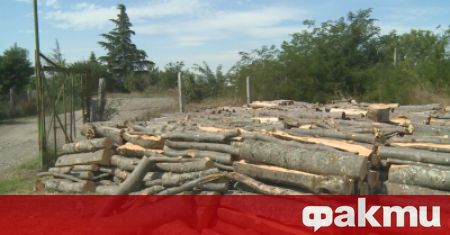 Зачестяват случаите на незаконно придобиване на дърва за огрев в