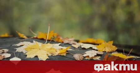 През нощта вятърът ще отслабне Сутринта в равнините и в