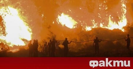 Η Ελλάδα στη φωτιά!  Η χειρότερη κατάσταση είναι με τις φωτιές της Πελοποννήσου – ᐉ Ειδήσεις από Fakti.bg – Κόσμος