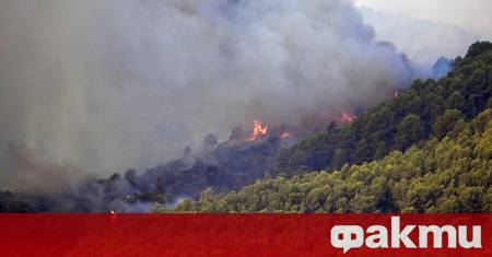 Пожарникари продължават да се борят с горски пожари в цяла