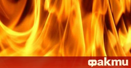 Загинала е жена при пожар в Добрич съобщават от Областната