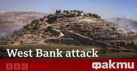 Четирима чужденци бяха ранени в атака за която се предполага