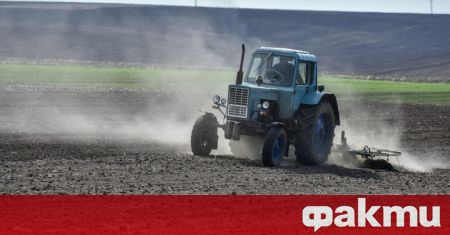 Площите за посев с пшеница ще бъдат намалени в Украйна