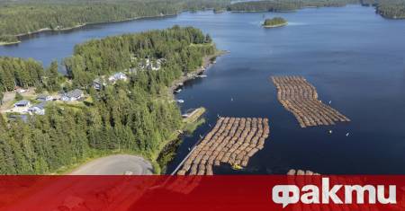 Telegram Подробна статистика за средните цени на имоти в България