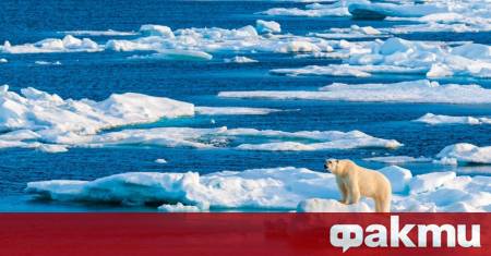 Арктическият морски лед е достигнал изключително ниски зимни нива през