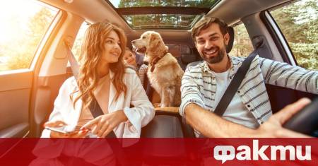 Планирането на лятната отпуска носи вълнение но ако сте стопанин