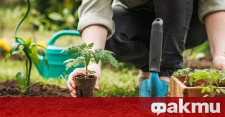 Февруари винаги ни напомня колко важен е за градината Точно
