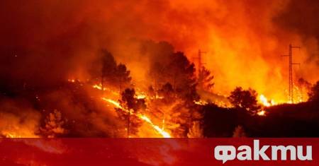 Горските пожари бушуващи в югозападната част на Франция и близо