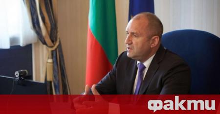 Българският президент поздрави своя германски колега с приоритетите на Германското