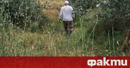 Регионалната инспекция по околната среда и водите – Пловдив РИОСВ