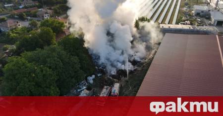 Дървени отпадъци горят във фабрика за пелети в старозагорското село