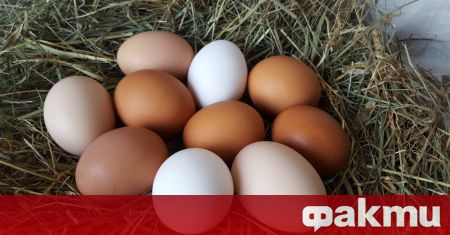 Има 2 вида разпознаваеми кокоши яйца бели и кафяви Според