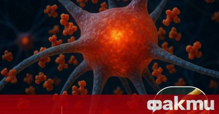 В новаторско изследване учени от университета Лудвиг Максимилиан в Мюнхен