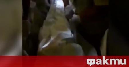 Болничен абсурд в Ямбол Санитари пренасят болни хора в мушами