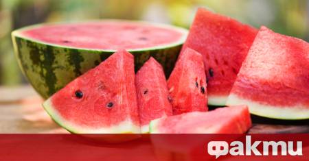 Лятото без диня е като море без вълни – просто