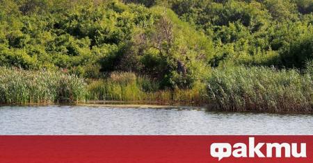 РИОСВ Бургас започва незабавна проверка в природен парк Странджа