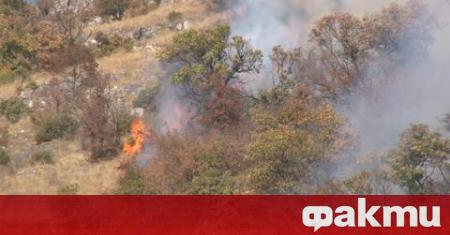 Голям пожар е избухнал между свиленградските села Дервишка могила Левка