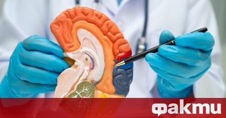 Учени от Столичния университет в Токио съобщават за важен пробив