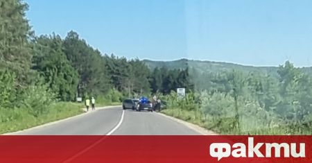 Две коли са катастрофирали на пътя от Берковица към прохода