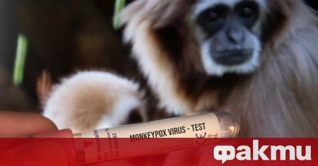Разпространението на маймунска шарка се превърна в сериозна здравна опасност