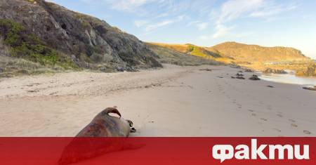 Служители на Департамента по екология на Мангистауската област на Казахстан