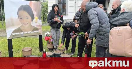 Отново катастрофа с тежкотоварен камион на път I 3 край Телиш