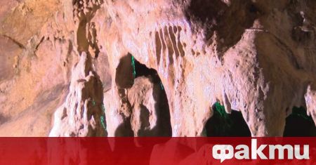Останките от пещерата Бачо Киро са най старите останки на модерните