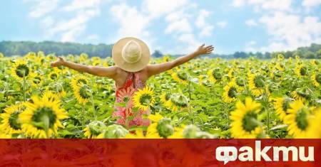 Ще бъде предимно слънчево с временни увеличения на облачността в