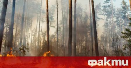 100 са активните пожари в момента в страната сочат последните