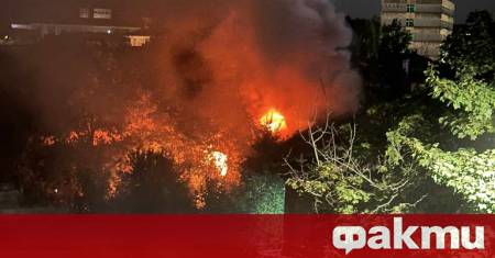 Възрастен мъж е загинал при пожар снощи в Търговище Два