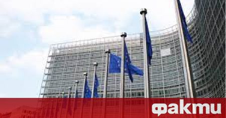 Делегацията от мониторинговата група към Европейския парламент, която посети България