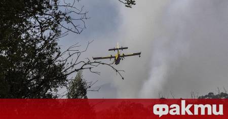 Горските пожари зачестили заради изменението на климата са допринесли значително