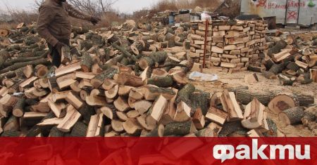 Високите цени на дървата за огрев и на дървения материал