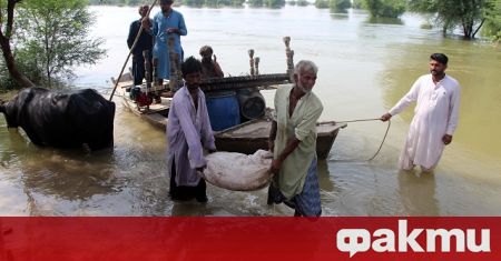 Проливни дъждове предизвикаха срутване на къщи в северен индийски щат