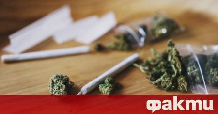 Употребата на канабис сред 16 годишните в Гърция достига най